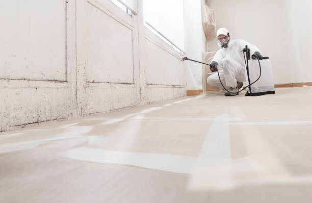 24/7 Emergency Mold Inspection experts in Farmville, VA